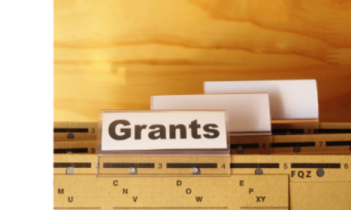 Call for Applications: Regenerative Fund for Nature